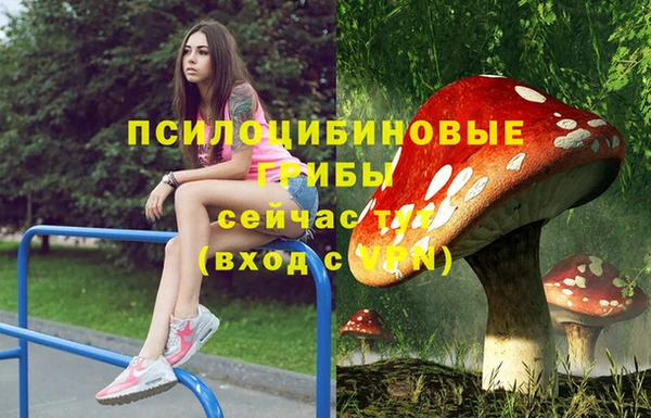 ешки Белоозёрский