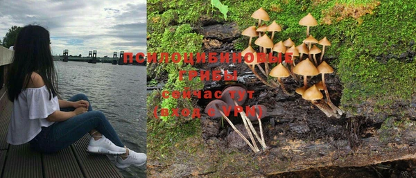 спиды Баксан
