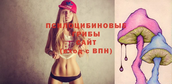 spice Беломорск