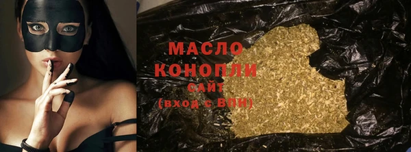 индика Протвино