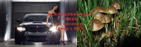 синтетический гашиш Белокуриха